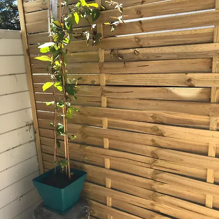 Terrasse 60m דירה